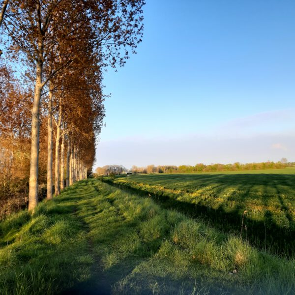 wandelen over een van de dijken in de zak van zuid beveland