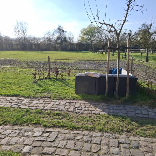 20250326_165726 - kopie
